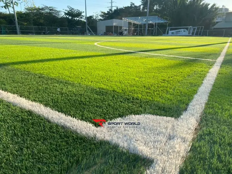 Các sân bóng đá tại tphcm TBG Arena