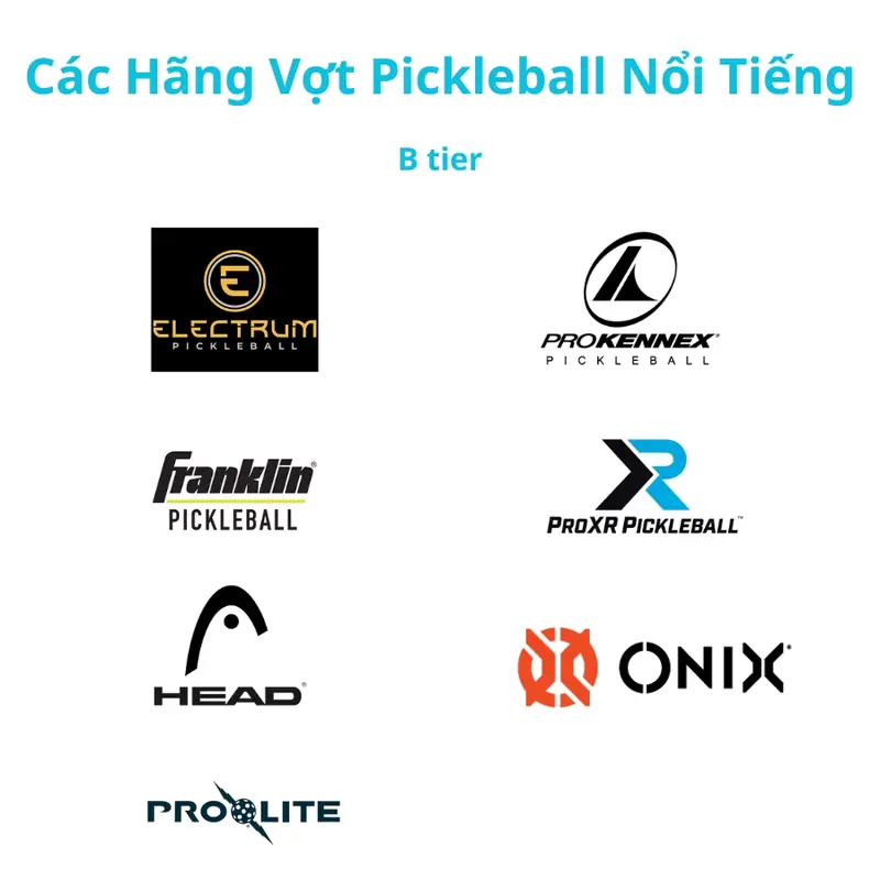 Top 7 Thương Hiệu Vợt Pickleball Đỉnh Cao 2026: Chinh Phục Mọi Sân Đấu! 2 các thương hiệu vợt pickleball phổ biến bộ sưu tập vợt pickleball đa dạng