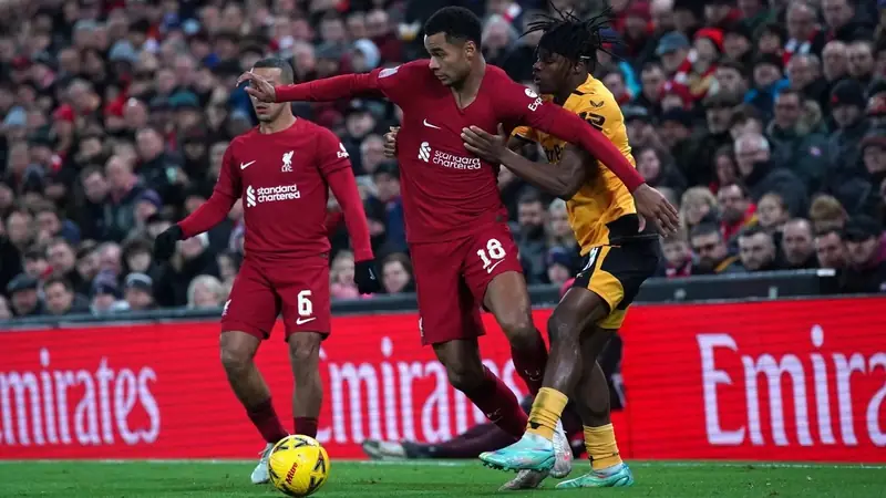 Cody Gakpo Cody Gakpo ăn mừng bàn thắng cho Liverpool phần 4