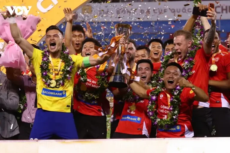 cup quoc gia viet nam cup vo dich bong da quoc gia