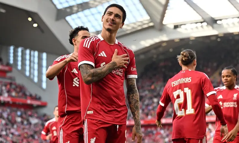 Darwin Núñez: Hành trình từ Artigas đến đỉnh cao bóng đá 3 Darwin Núñez Darwin Núñez ăn mừng bàn thắng cho Benfica phần 4