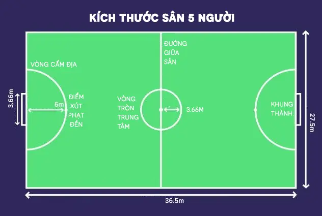 diện tích sân bóng 5 người bản vẽ sân bóng 5 người