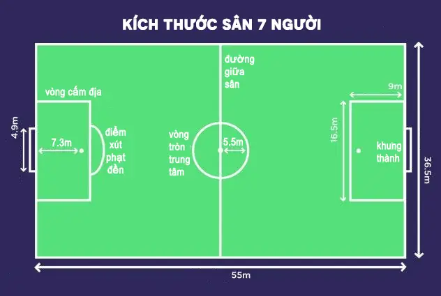 diện tích sân bóng 7 người sân bóng 5 người