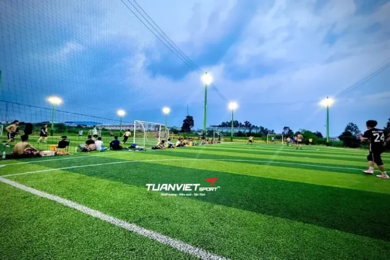Top Sân Bóng Đá Tại Đồng Nai: Khám Phá Điểm Đến Lý Tưởng Cho Mọi Cầu Thủ Năm 2026 5 san bong da tai dong nai san bong da kcn ho nai