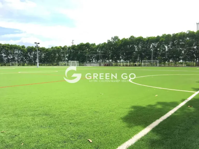 Sân Bóng Đá Hải Dương: Khám Phá Top 5 Điểm Chơi Đỉnh Cao Nhất 2026 2 san bong da tai hai duong san van dong hai duong