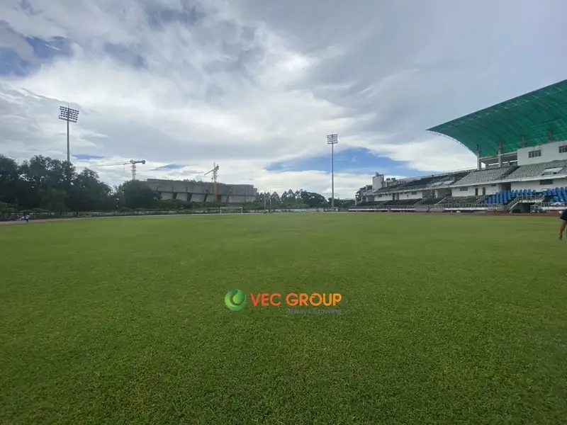 Sân bóng đá tại Kiên Giang Sân bóng đá Phát Vinh