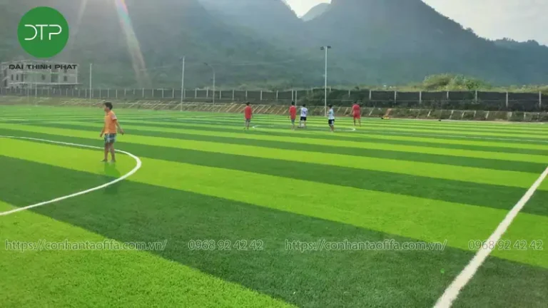 Khám Phá Sân Bóng Đá Tại Lai Châu: Điểm Hẹn Cho Đam Mê Túc Cầu 2026 2 san bong da tai lai chau san bong da nhan tao tai lai chau