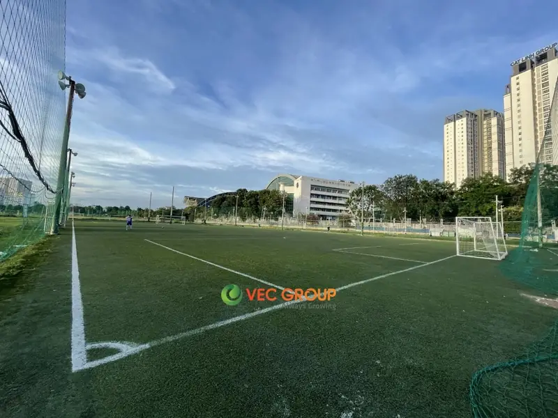 Sân bóng đá Quận 11: Khám phá Top 10 địa điểm "cháy" hết mình năm 2026 4 Sân bóng đá tại Quận 11 Sân Bóng Lạc Long Quân