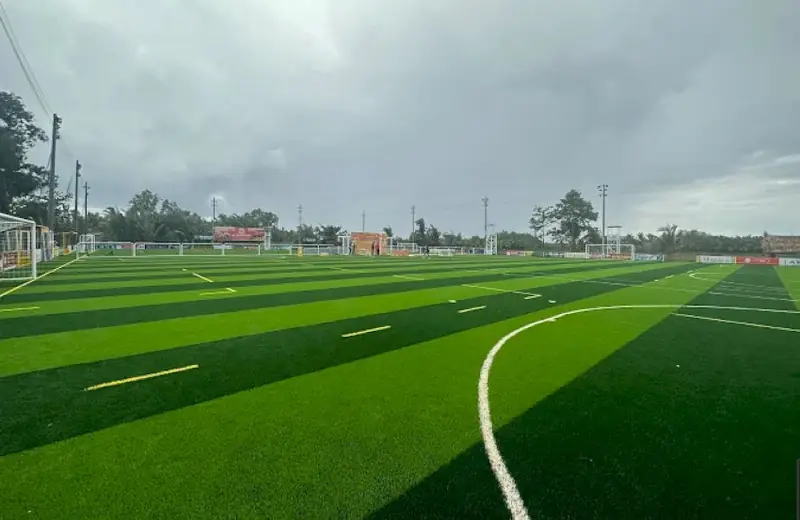 Sân bóng đá tại Sài Gòn Sân bóng đá Đông Sài Gòn