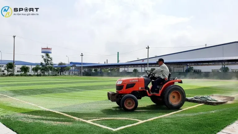 Khám Phá Sân Bóng Đá Tiền Giang: Địa Điểm Tuyệt Vời Cho Đam Mê Túc Cầu Năm 2026 10 san bong da tai tien giang san bong da co nhan tao thanh tam