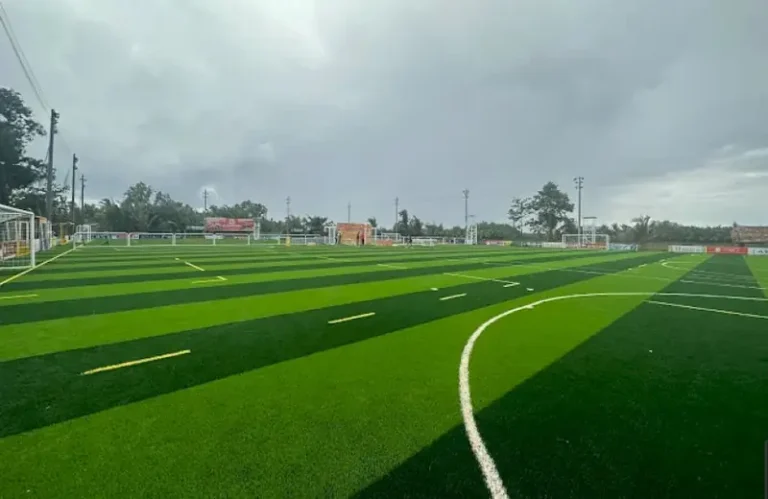 Sân Bóng Đá Tao Đàn - Quận 1: Review Chi Tiết, Giá Cả & Kinh Nghiệm 2026 7 san bong da tao dan quan 1 khong gian san bong da rong rai voi co xanh muot