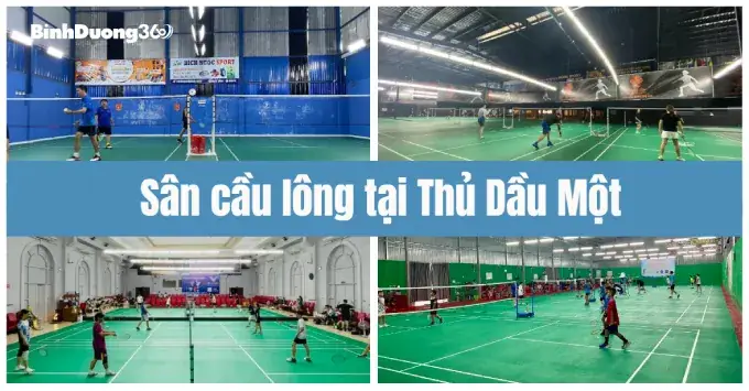 Khám Phá Sân Cầu Lông Tại Bình Dương: Điểm Đến Lý Tưởng Cho Người Chơi 2026 10 Sân cầu lông tại Bình Dương Sân Cầu Lông Mạnh Cường