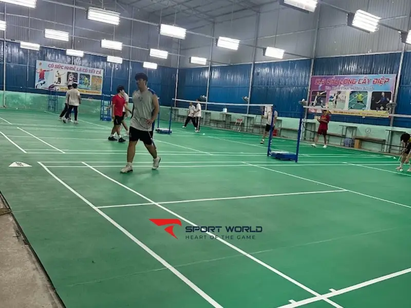 Khám Phá Sân Cầu Lông Tại Bình Dương: Điểm Đến Lý Tưởng Cho Người Chơi 2026 5 Sân cầu lông tại Bình Dương sân cầu lông Miền Đông