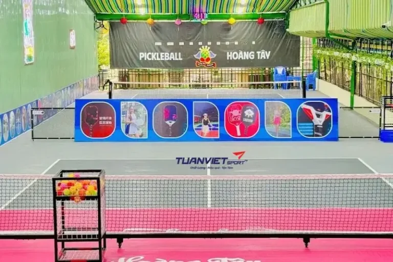 san pickleball tai dong thap san pickleball hoang tay