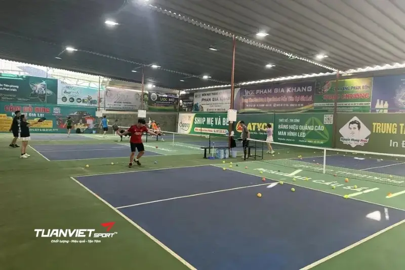 Sân pickleball tại Huyện Gia Lâm Sân Pickleball LT