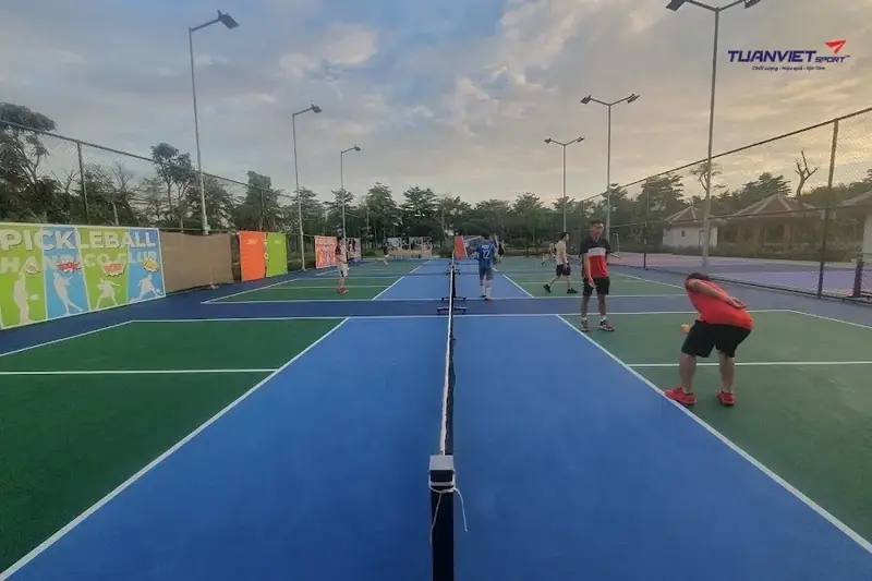 Sân pickleball tại Nghệ An Sân Pickleball Tuấn Anh Club