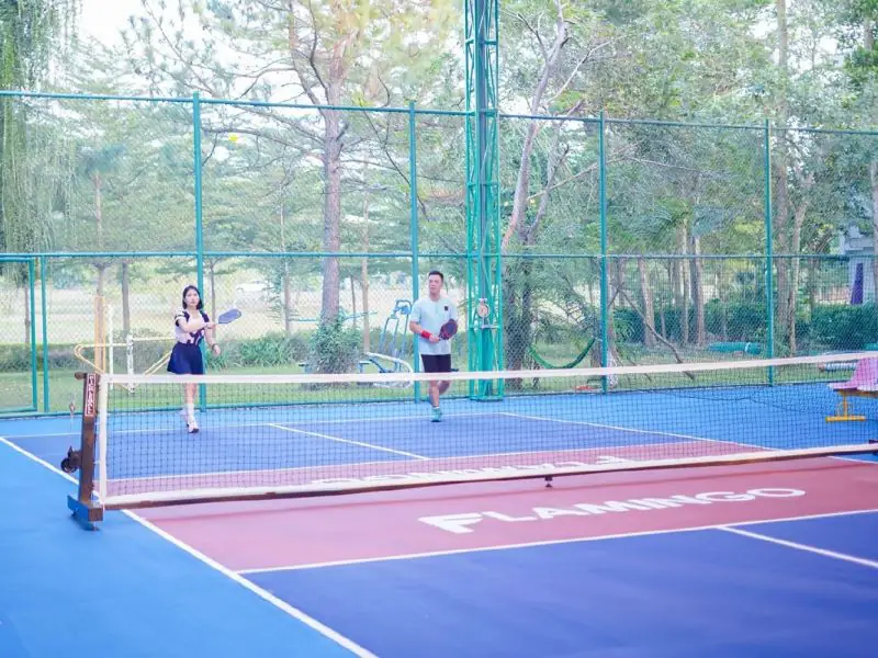 Sân pickleball tại Tây Ninh Sân Pickleball Tràm Lạc với không gian xanh mát