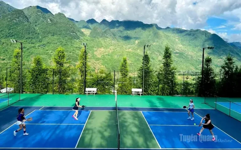 Khám Phá Sân Pickleball Tuyên Quang: Top Địa Điểm Chất Lượng 2026 8 san pickleball tai tuyen quang xu tuyen pickleball