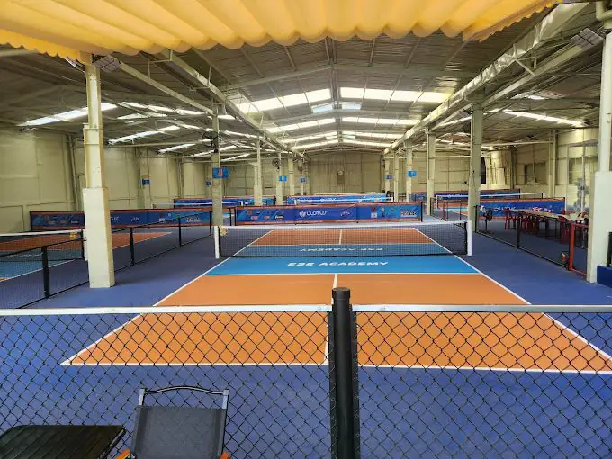 tong hop san pickleball tai ha noi song xanh pickleball