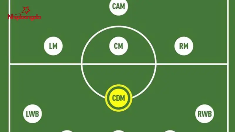 Vị Trí CDM Trong Bóng Đá: Chuyên Gia Giải Mã Từ A-Z (2026) 3 vị trí cdm trong bóng đá Hai tiền vệ tranh chấp bóng ở khu vực giữa sân
